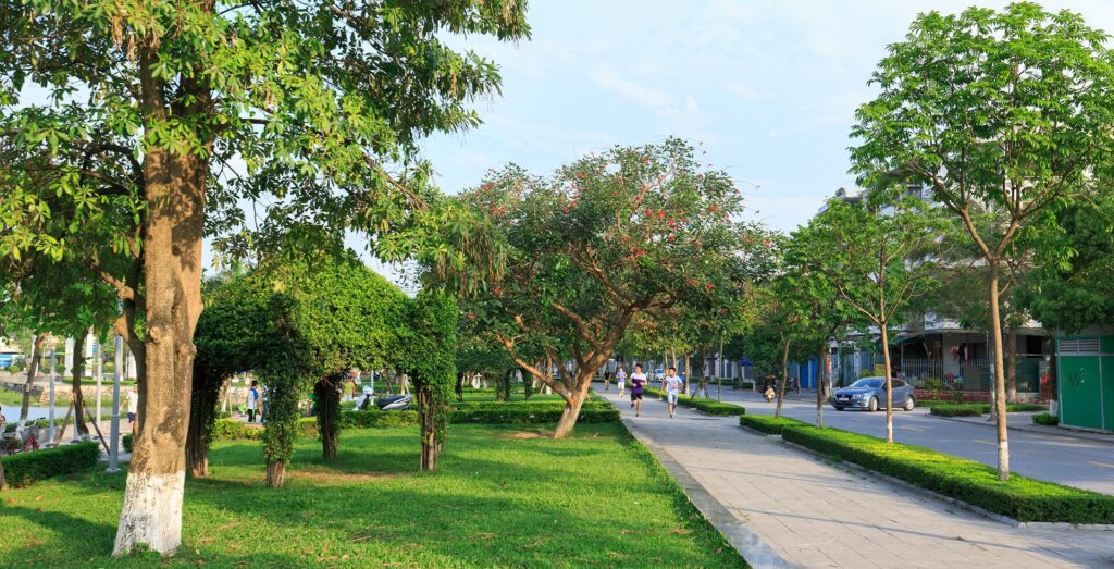 vanphu