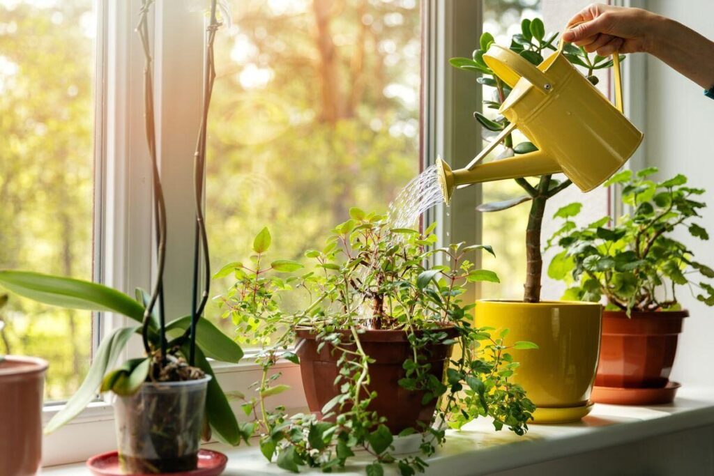 Bắt đầu lối sống xanh từ những thay đổi nhỏ nhất trong nhà ở - Ảnh: Pinterest